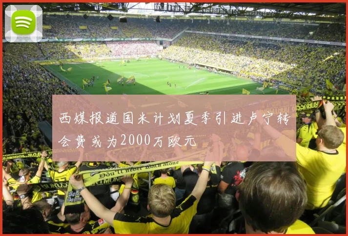 西媒报道国米计划夏季引进卢宁转会费或为2000万欧元