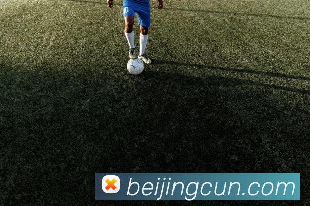 奖项证书