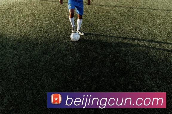奖项证书